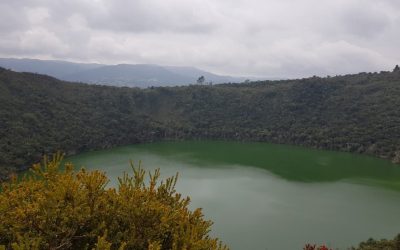 Trabajando por la Sostenibilidad: Fortalecimiento Ambiental y Climático en Cundinamarca