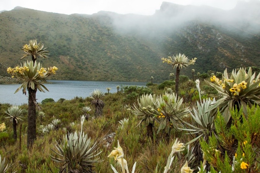 paramo-cundinamarca
